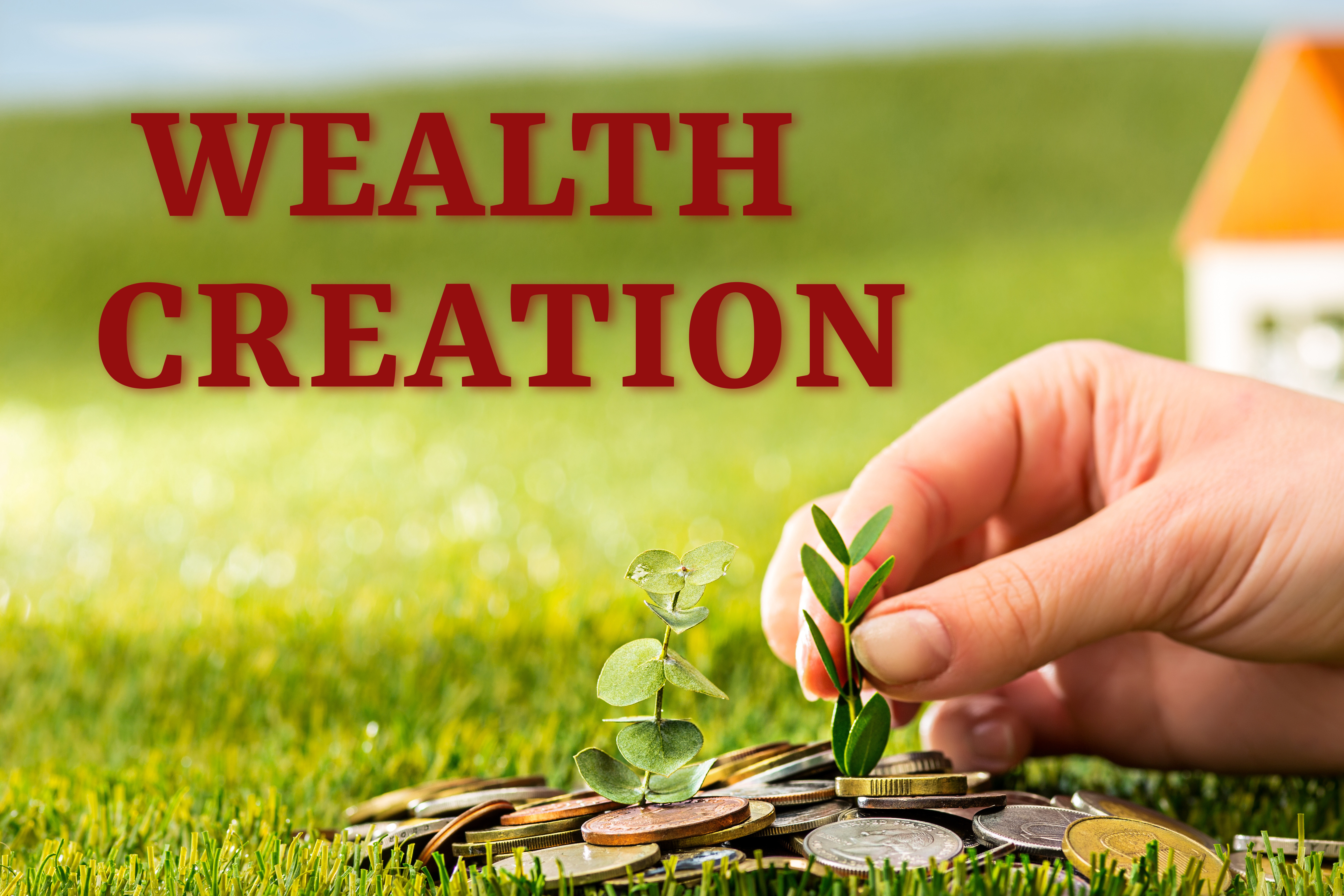 Creating wealth using money