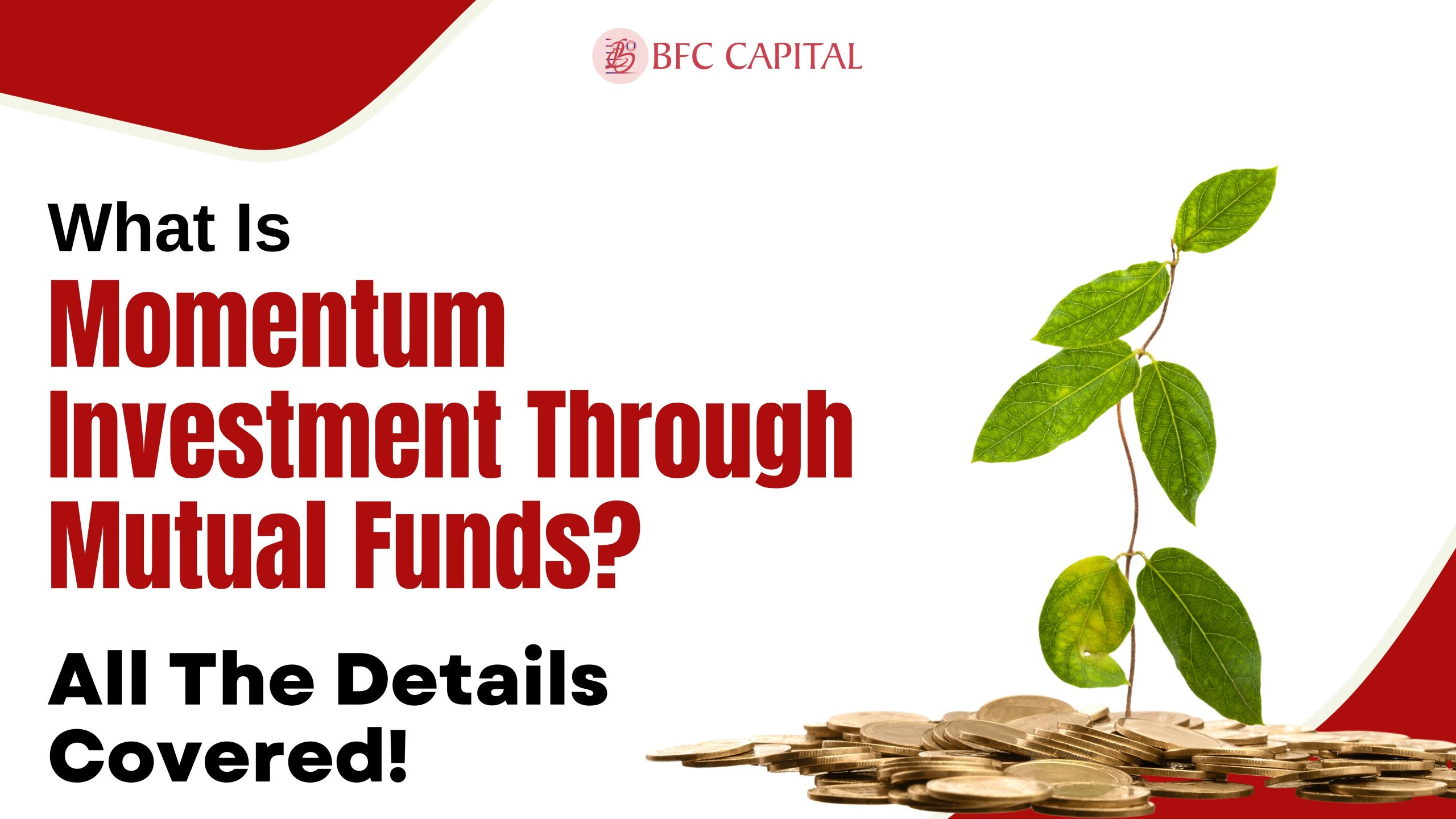 What Is Momentum Investment Through Mutual Funds?