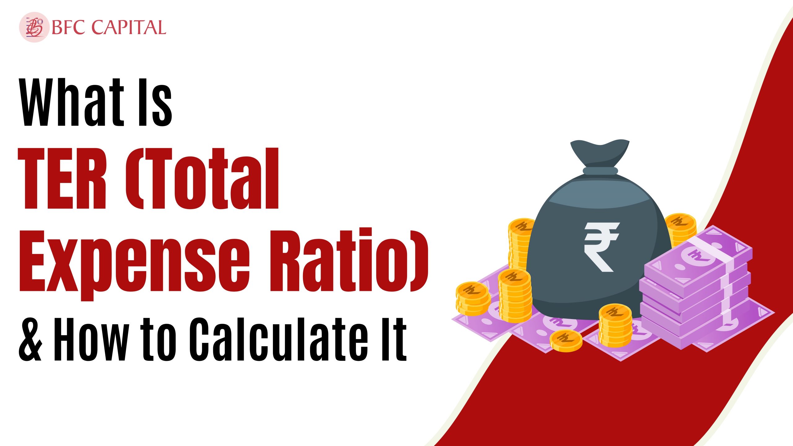 What Is TER (Total Expense Ratio)