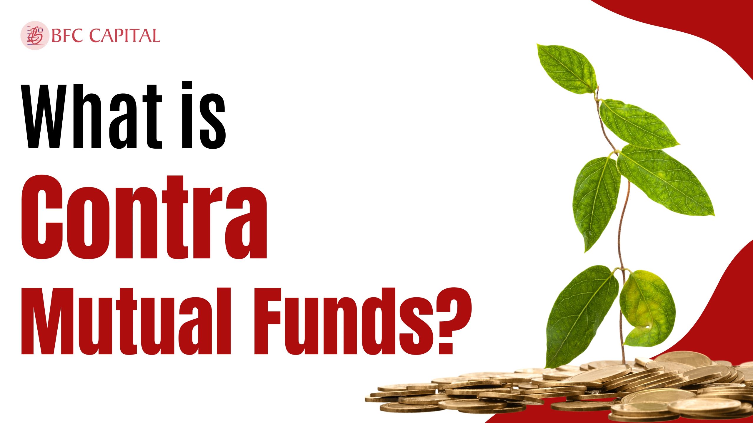 What is Contra Mutual Funds